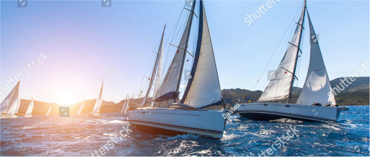 About The Firm Image col1